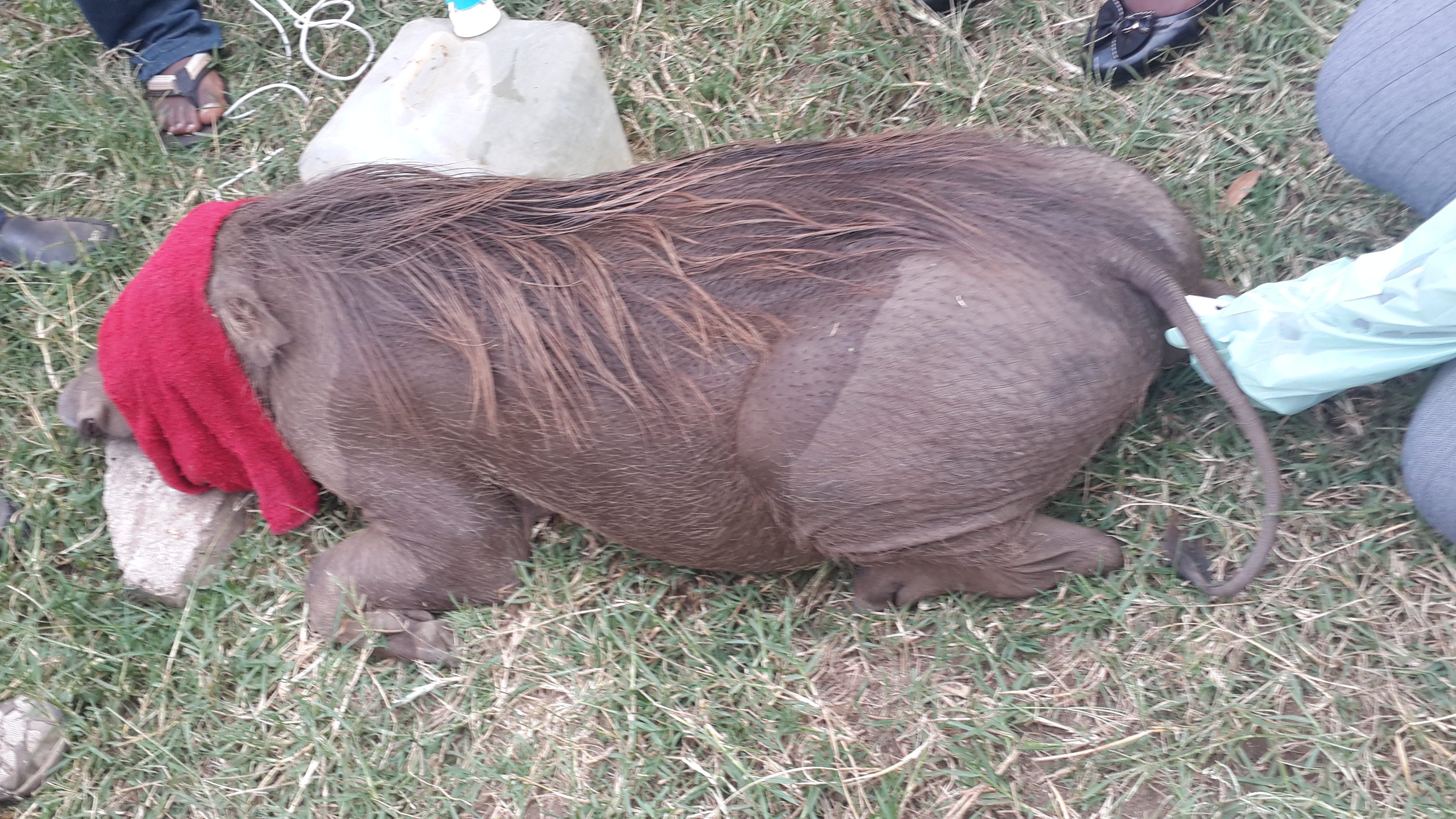 Science driven field work image 15